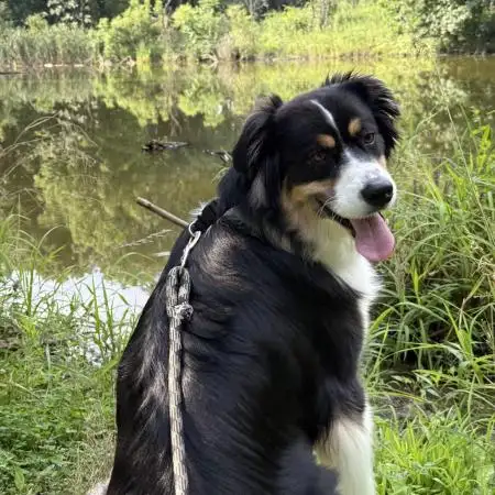 Swanberg