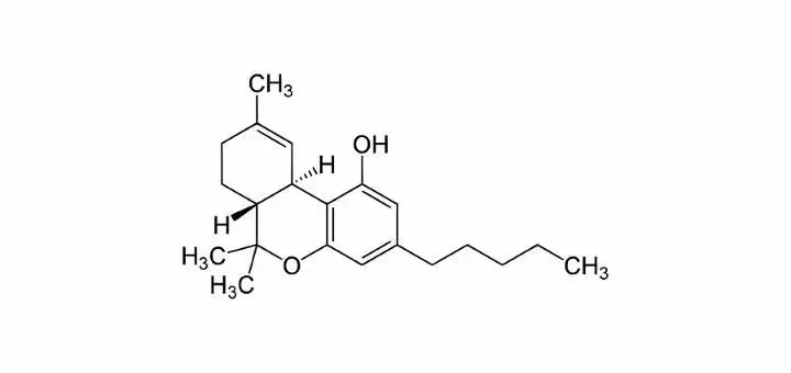 ElMedico