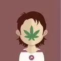 davinciweed