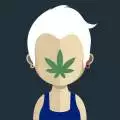 Sensimillabuds