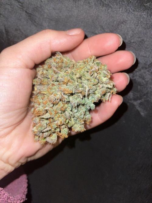 null by PEAKYPLANTERS