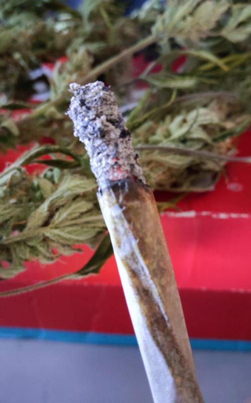 null by PEAKYPLANTERS
