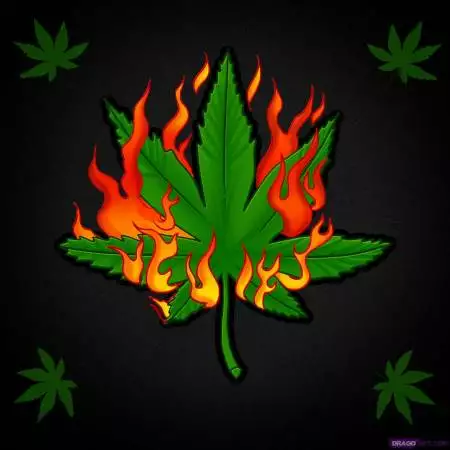 GreenBeanz420
