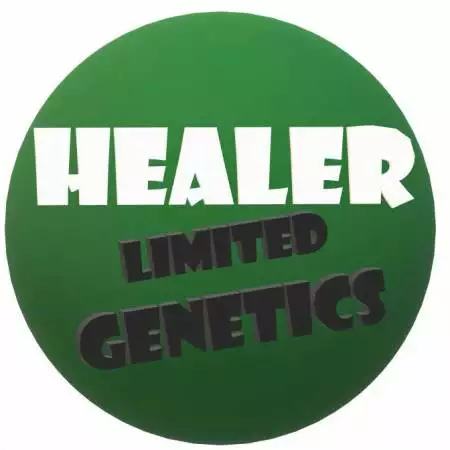 Healer
