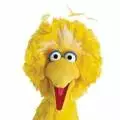 Big_Bird