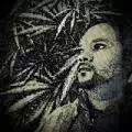 420Herbalist