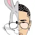 Rabbit13