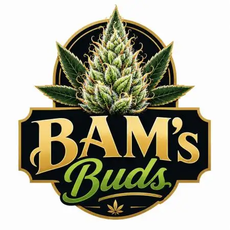 BAM_BAM