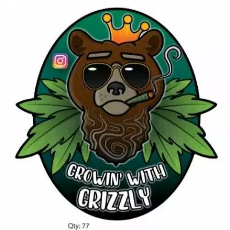 GrowinWithGrizzly