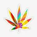 Roughleaf