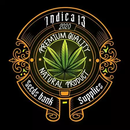 Indica13