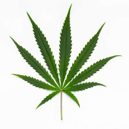 brown_OG