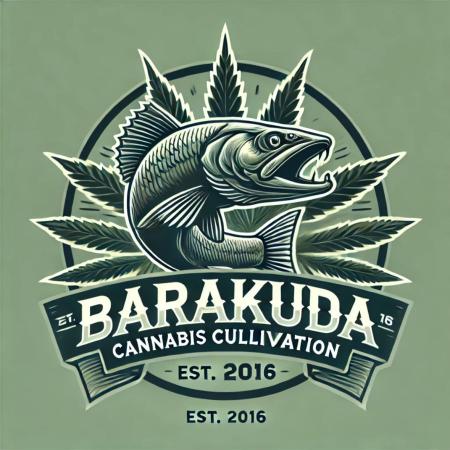 Barakuda