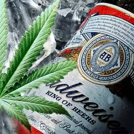 Bud0Wiser