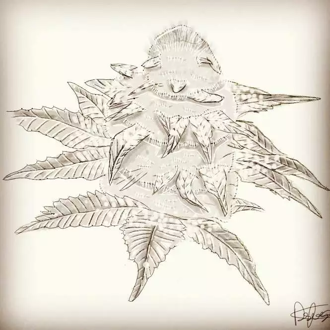LaFeuilleOCB