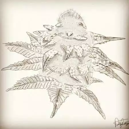 LaFeuilleOCB