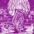 Regena