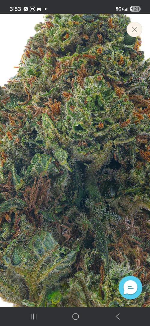 null door nd-grower