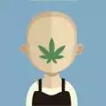 Swiss_CBD_grower