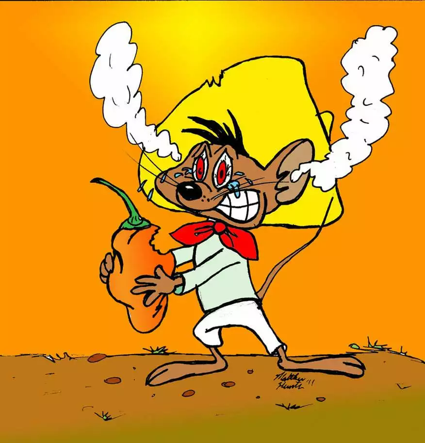 PaulXavier
