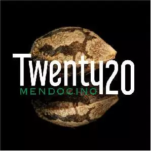 Twenty20