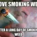 Jimi_Sativa
