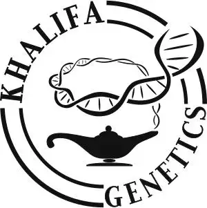 Khalifa_Genetics
