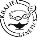 Khalifa_Genetics