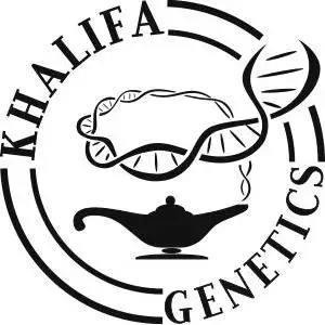 Khalifa_Genetics