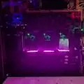 BBhykiem1