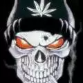 HonkeyThunder420